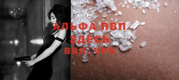 ГАЛЛЮЦИНОГЕННЫЕ ГРИБЫ Бородино