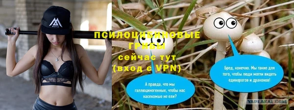 ГАЛЛЮЦИНОГЕННЫЕ ГРИБЫ Бородино