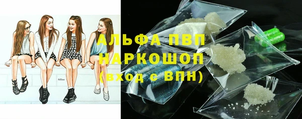 ГАЛЛЮЦИНОГЕННЫЕ ГРИБЫ Бородино