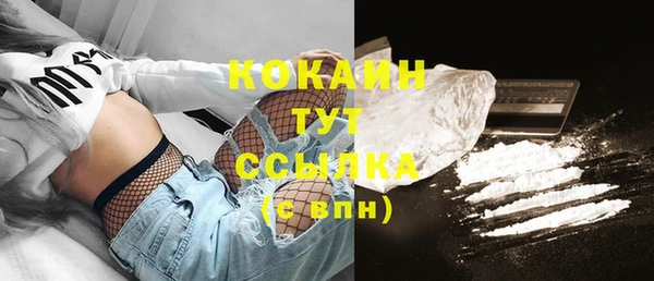 СК Бронницы