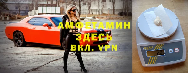 СК Бронницы