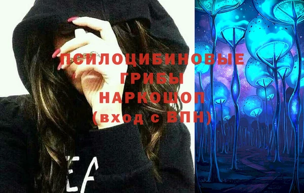 ГАЛЛЮЦИНОГЕННЫЕ ГРИБЫ Бородино