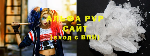 СК Бронницы